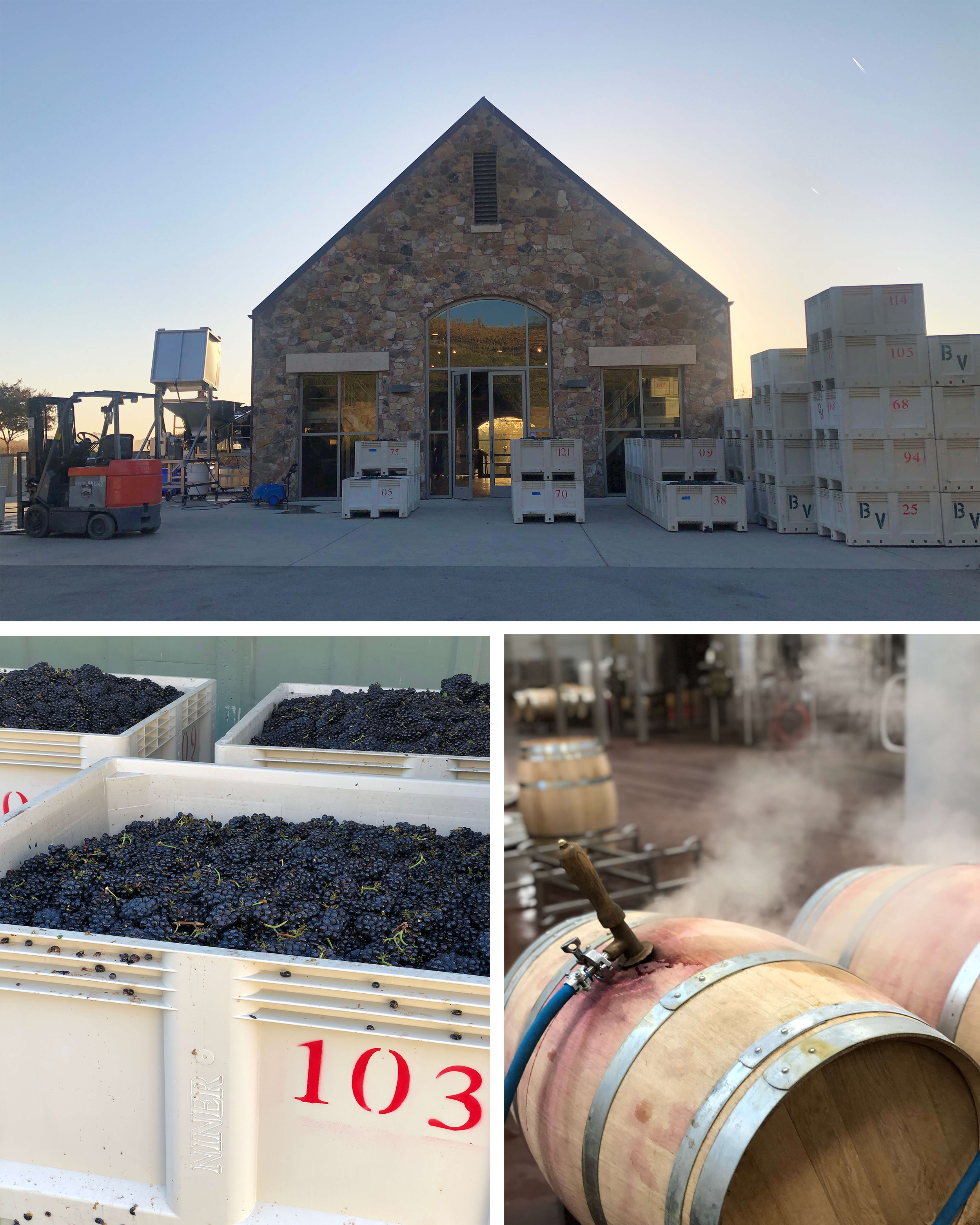 from top: the craft winery at sunrise; bins of pinot noir grapes; steaming barrels
