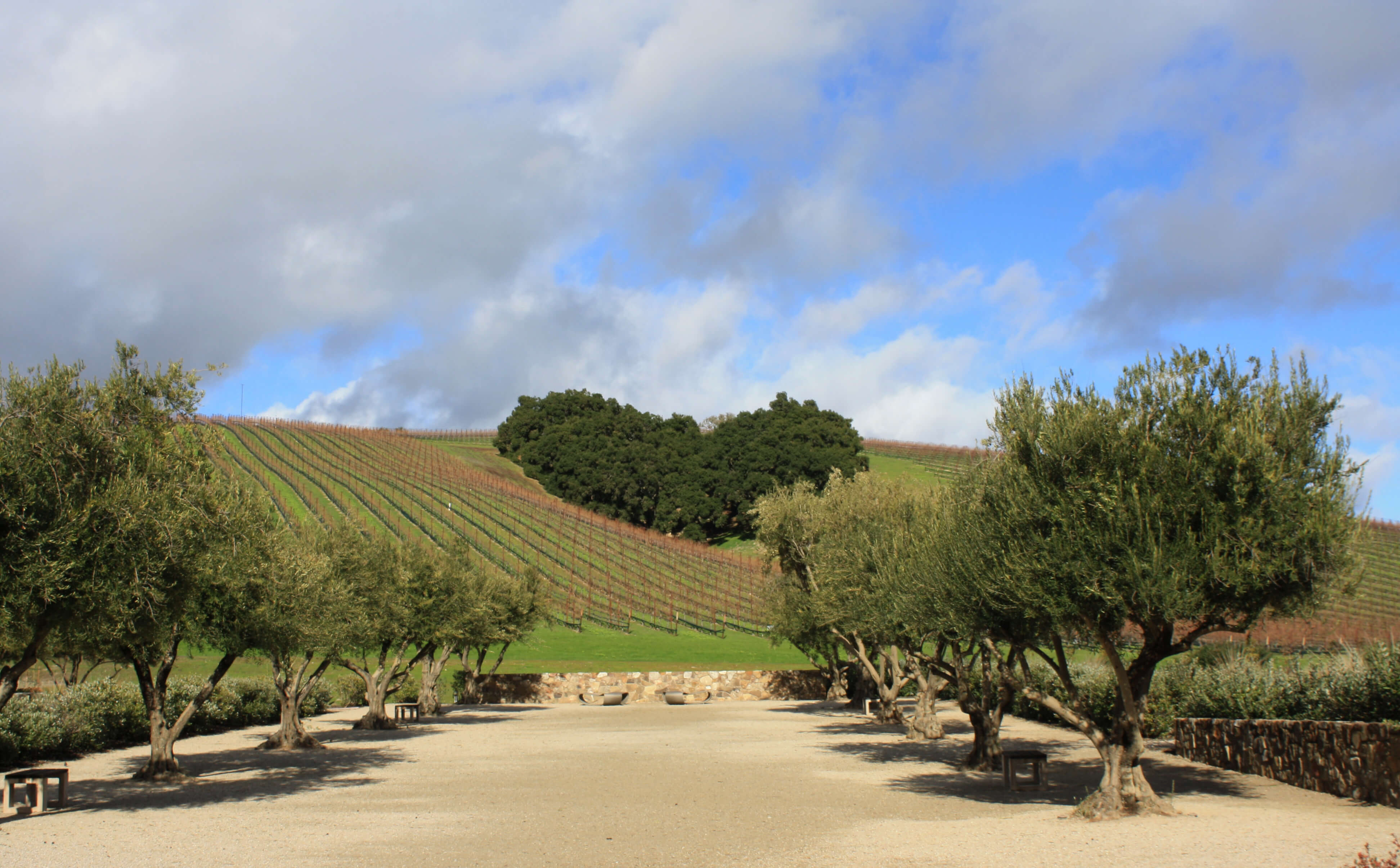 Clouds and blue skies at Heart Hill Vineyard