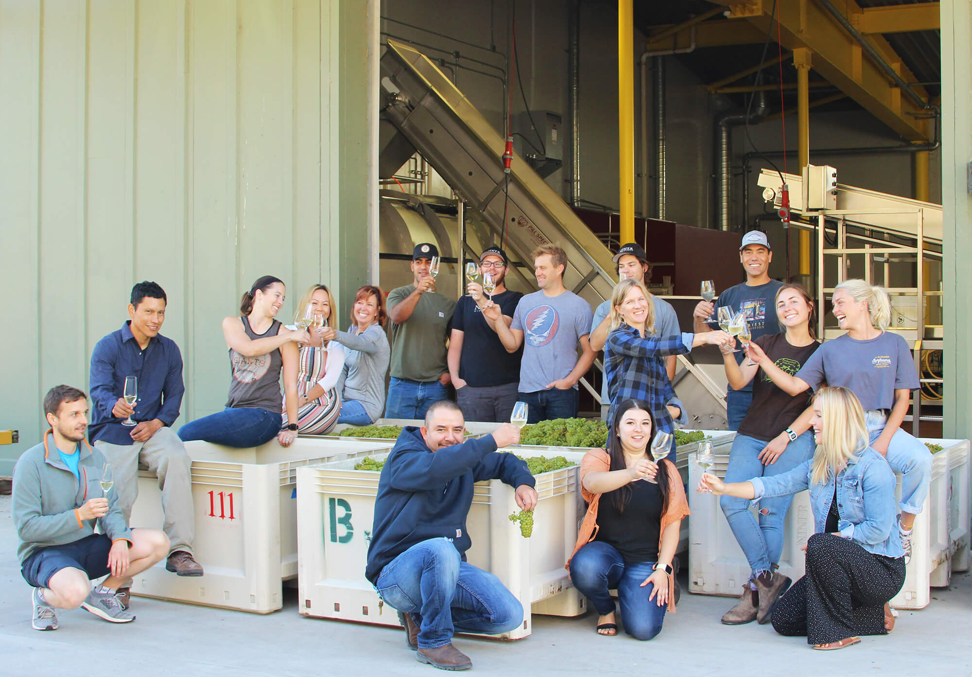 Our team celebrate the start of harvest in front of bins full of grapes