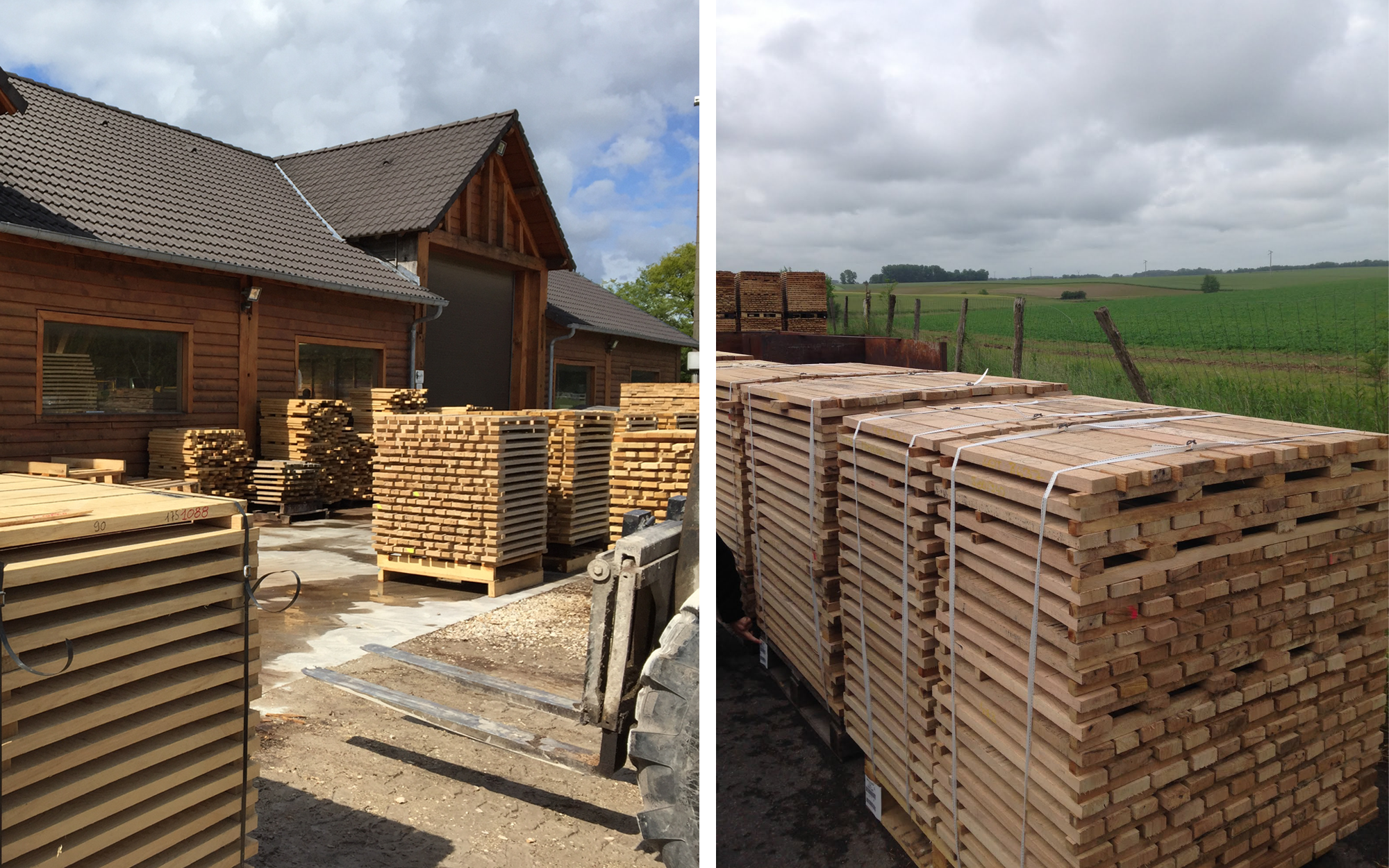 Left: oak staves stacked on pallets in front of a building; Right: Staves stacked on pallets in a mill yard, lined up in front of a green field. 