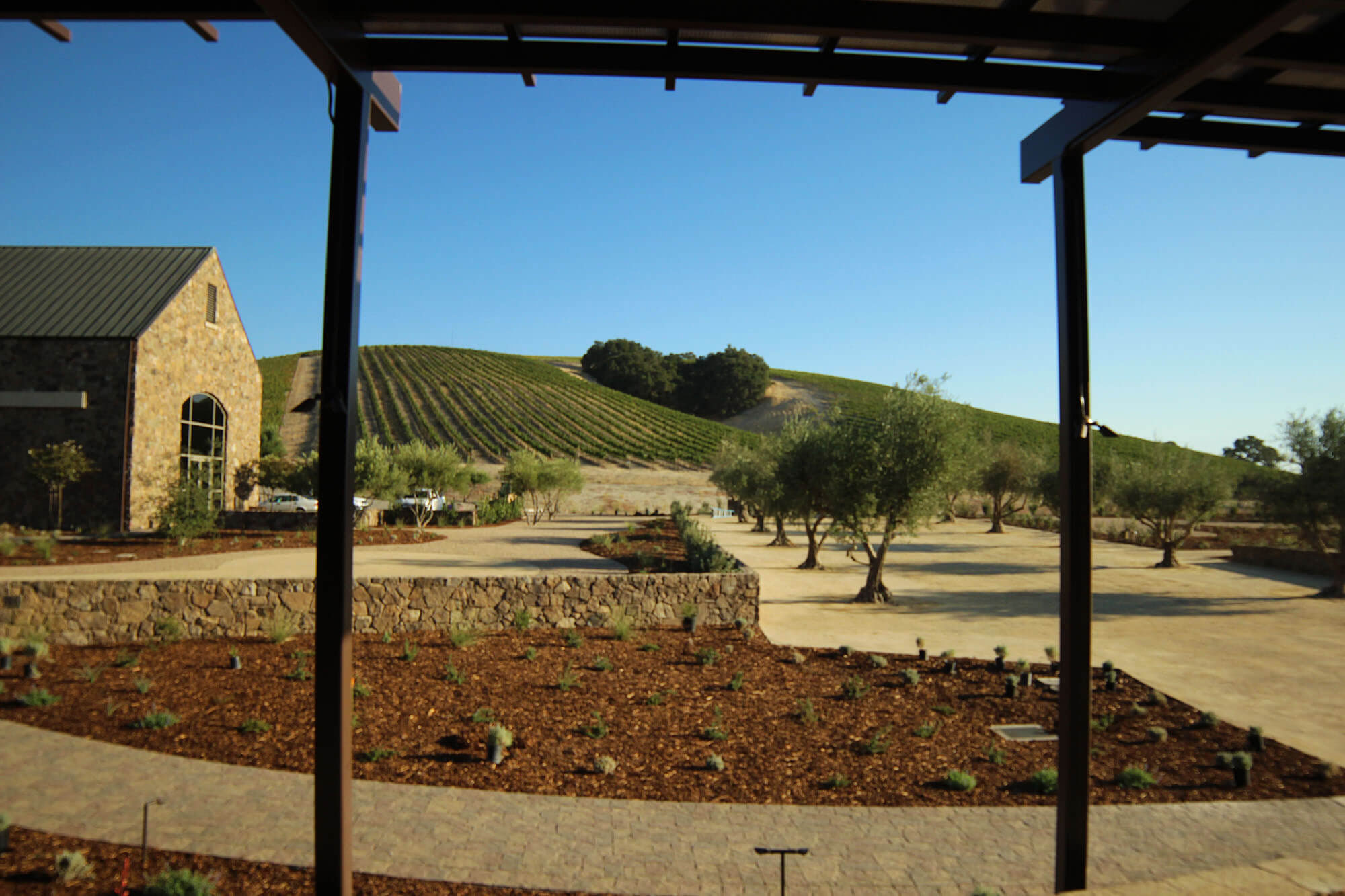 Niner Wine Estates - Blog - Our New Landscaping Project is Done! new look restaurant