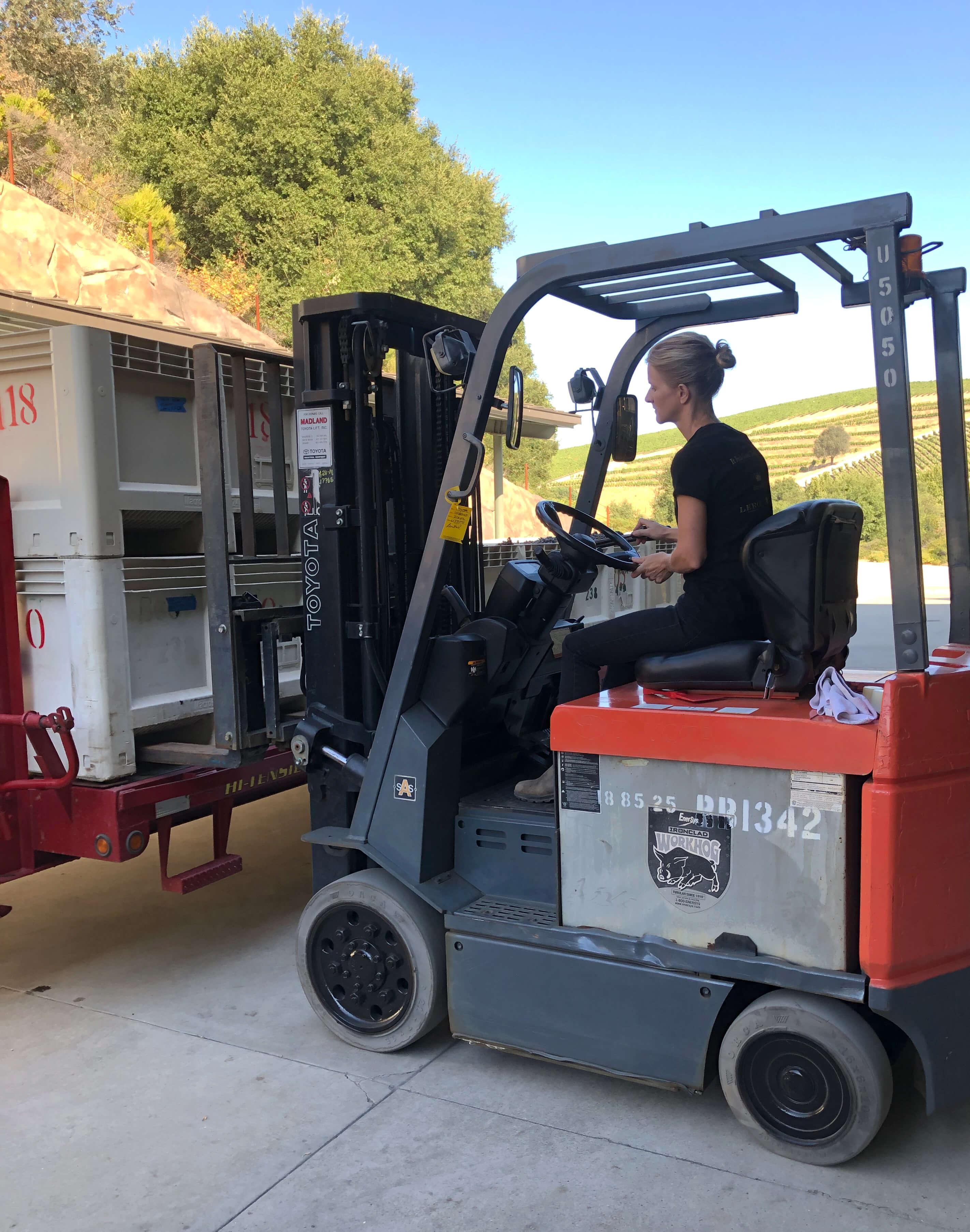 Winemaker Molly unloading fruit with a fork lift