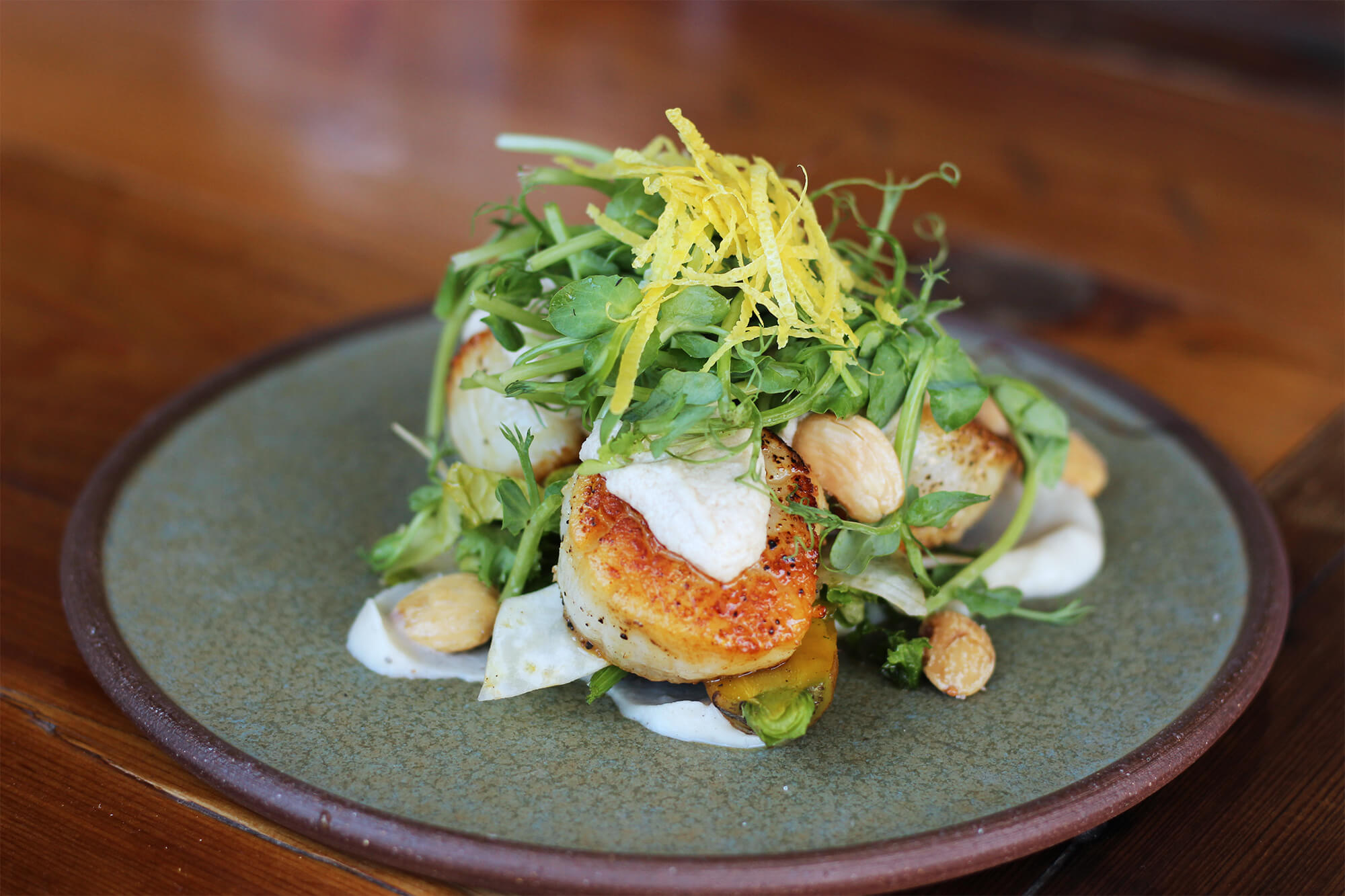 pan-seared scallops with celery root puree, carrots, mustard greens, chicory, shaved celery root & lemon rind 