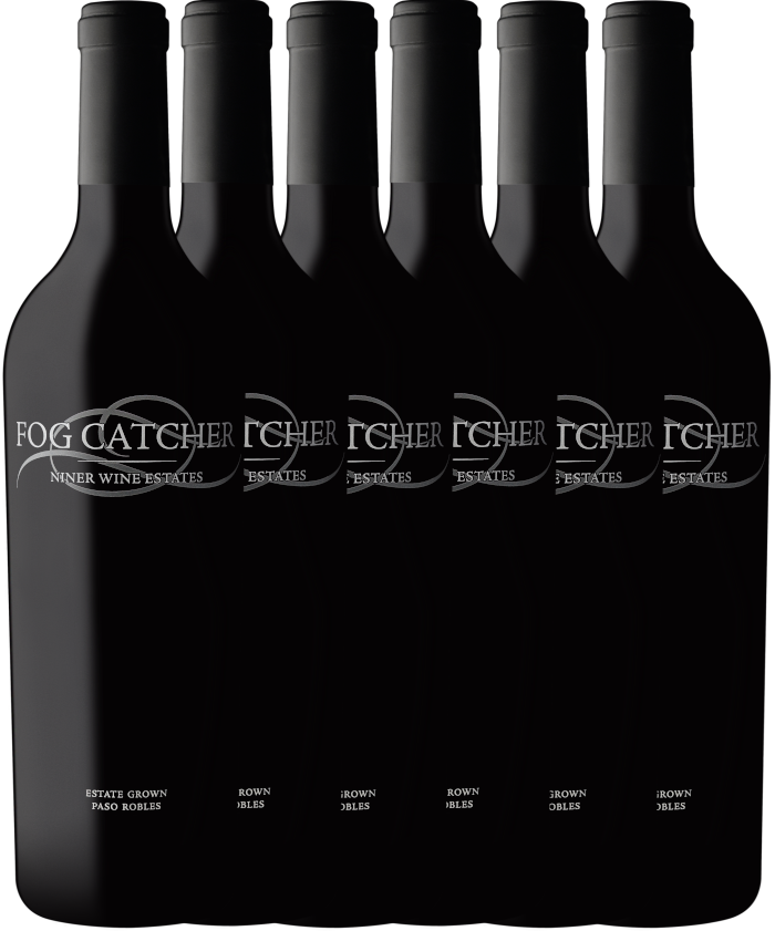 Fog Catcher 6 Year Vertical